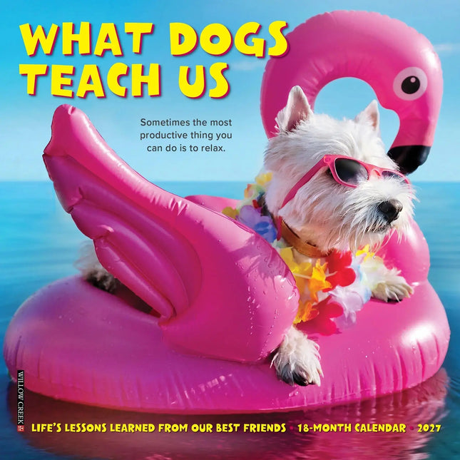 Willow Creek What Dogs Teach Us Kalender 2027 Mini