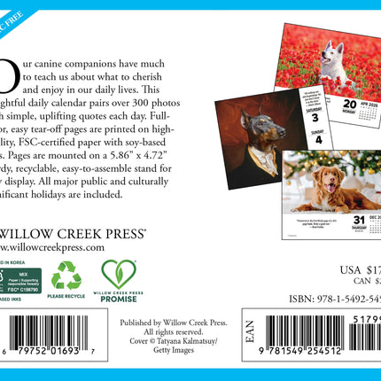 Willow Creek What Dogs Teach Us Scheurkalender 2026 Boxed