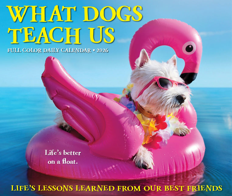 Willow Creek What Dogs Teach Us Scheurkalender 2026 Boxed