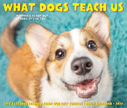 Willow Creek What Dogs Teach Us Scheurkalender 2027 Boxed