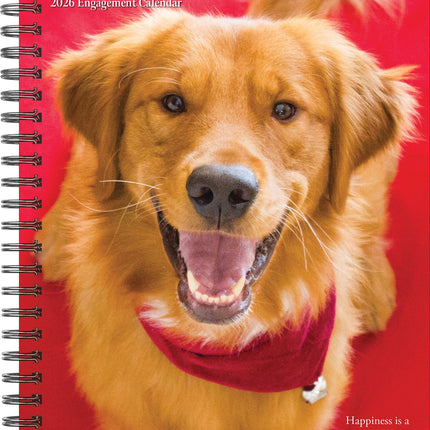 Willow Creek What Goldens Teach Us Agenda 2026