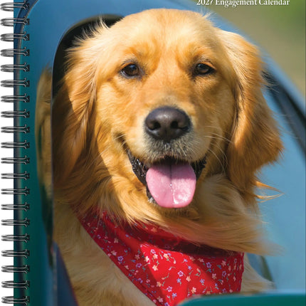 Willow Creek What Goldens Teach Us Agenda 2027