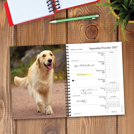 Willow Creek What Goldens Teach Us Agenda 2027