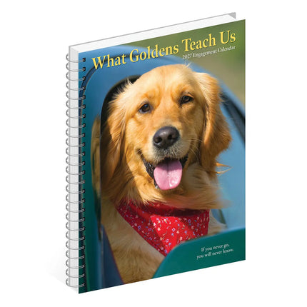 Willow Creek What Goldens Teach Us Agenda 2027
