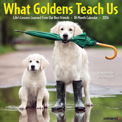Willow Creek What Goldens Teach Us Kalender 2026