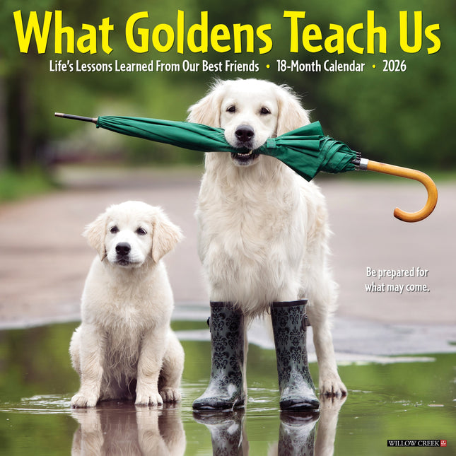 Willow Creek What Goldens Teach Us Kalender 2027