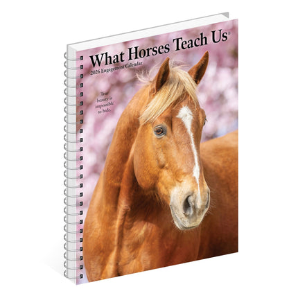 Willow Creek What Horses Teach Us Agenda 2026