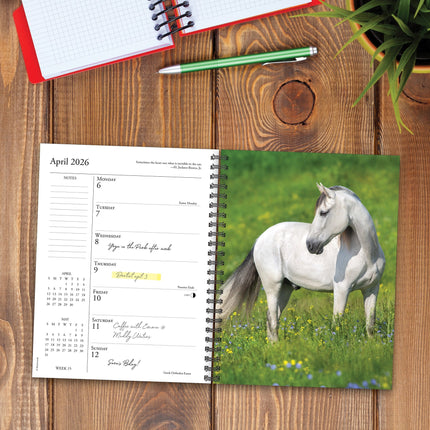 Willow Creek What Horses Teach Us Agenda 2026