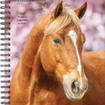 Willow Creek What Horses Teach Us Agenda 2026