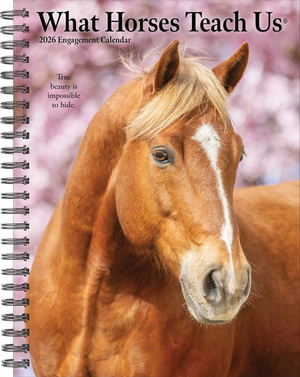 Willow Creek What Horses Teach Us Agenda 2026