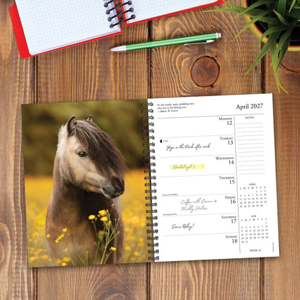 Willow Creek What Horses Teach Us Agenda 2027