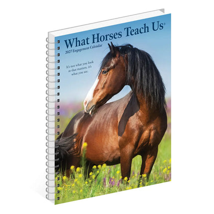 Willow Creek What Horses Teach Us Agenda 2027