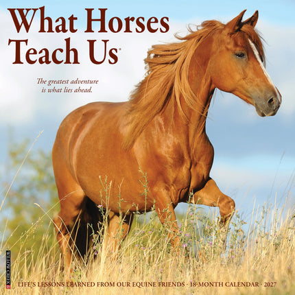 Willow Creek What Horses Teach Us Kalender 2027
