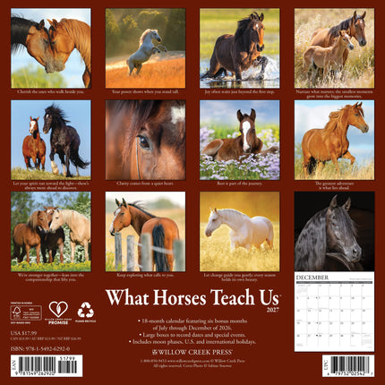 Willow Creek What Horses Teach Us Kalender 2027
