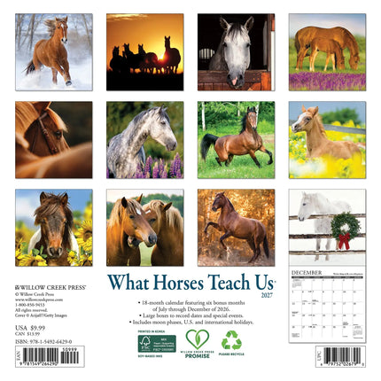 Willow Creek What Horses Teach Us Kalender 2027 Mini