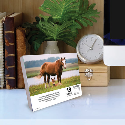 Willow Creek What Horses Teach Us Scheurkalender 2026 Boxed