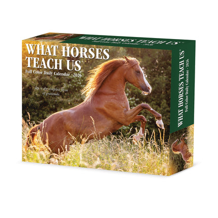 Willow Creek What Horses Teach Us Scheurkalender 2026 Boxed