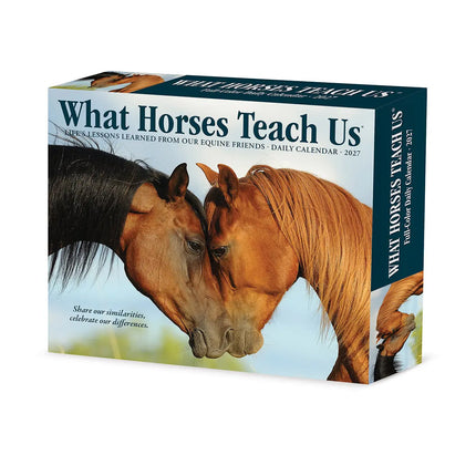 Willow Creek What Horses Teach Us Scheurkalender 2027 Boxed