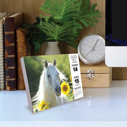Willow Creek What Horses Teach Us Scheurkalender 2027 Boxed