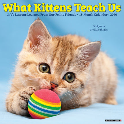 Willow Creek What Kittens Teach Us Kalender 2026