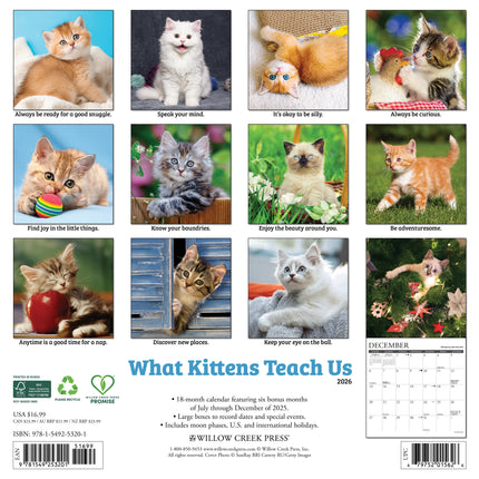 Willow Creek What Kittens Teach Us Kalender 2026