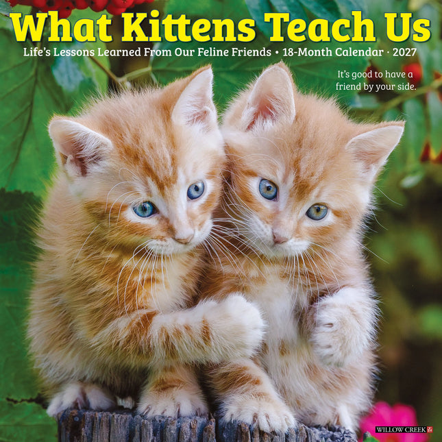 Willow Creek What Kittens Teach Us Kalender 2027