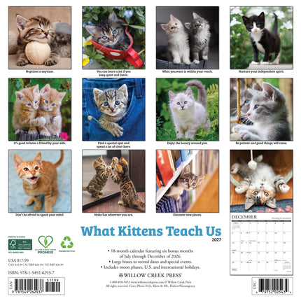 Willow Creek What Kittens Teach Us Kalender 2027
