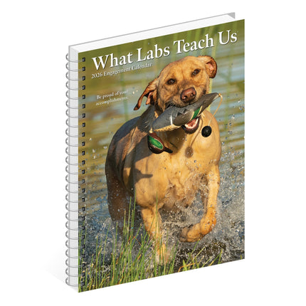 Willow Creek What Labs Teach Us Agenda 2026