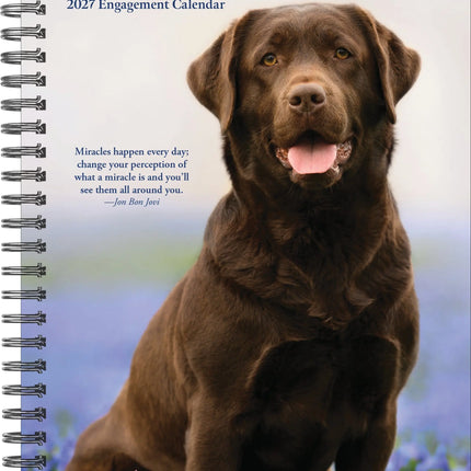 Willow Creek What Labs Teach Us Agenda 2027