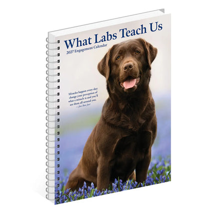 Willow Creek What Labs Teach Us Agenda 2027
