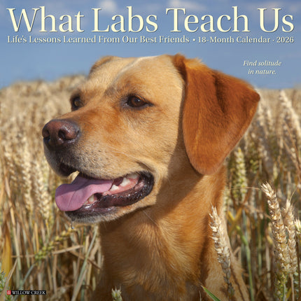 Willow Creek What Labs Teach Us Kalender 2026