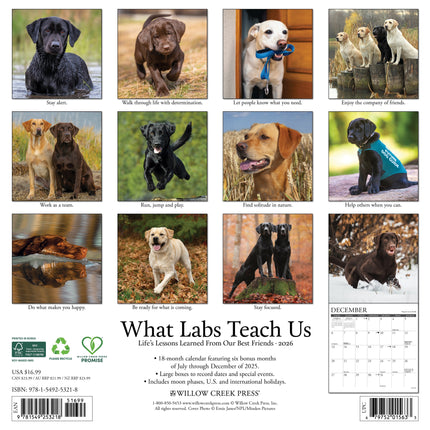 Willow Creek What Labs Teach Us Kalender 2026