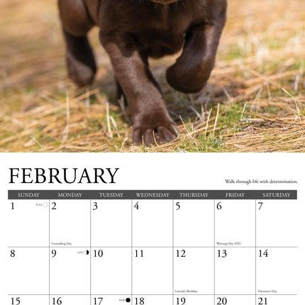 Willow Creek What Labs Teach Us Kalender 2026