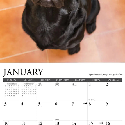 Willow Creek What Labs Teach Us Kalender 2027