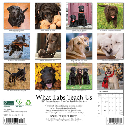 Willow Creek What Labs Teach Us Kalender 2027