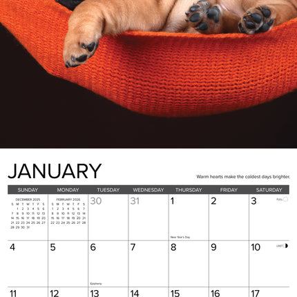 Willow Creek What Puppies Teach Us Kalender 2026