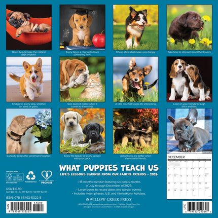 Willow Creek What Puppies Teach Us Kalender 2026