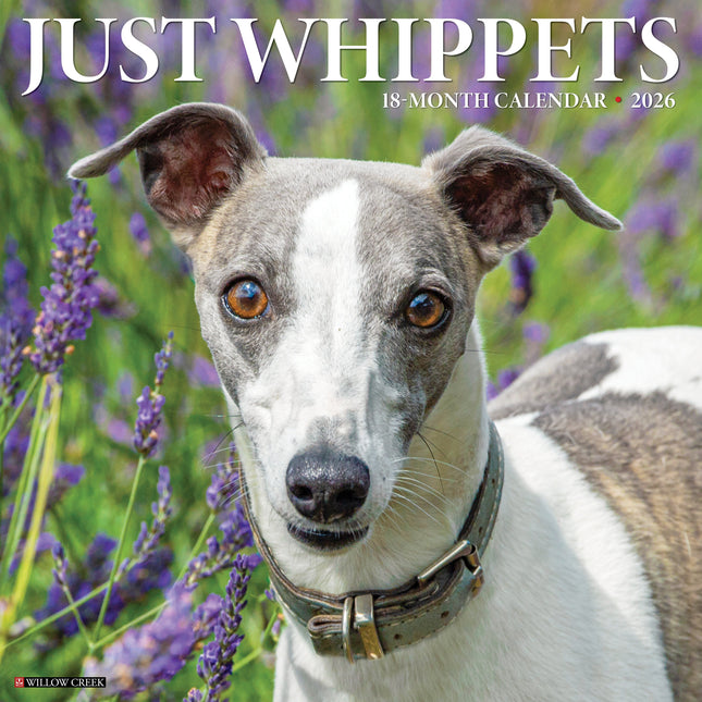 Willow Creek Whippet Kalender 2027