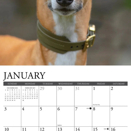 Willow Creek Whippet Kalender 2027