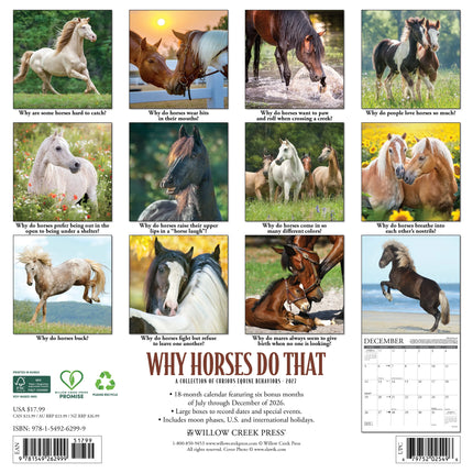 Willow Creek Why Horses Do That Kalender 2027