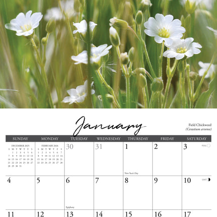 Willow Creek Wilde Bloemen Kalender 2026