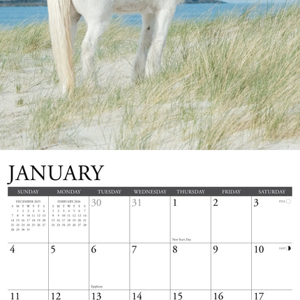 Willow Creek Wilde Paarden Kalender 2026