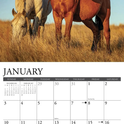 Willow Creek Wilde Paarden Kalender 2027