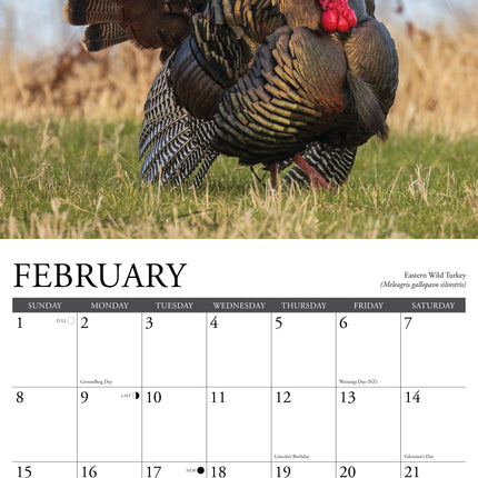 Willow Creek Wildlife Kalender 2026