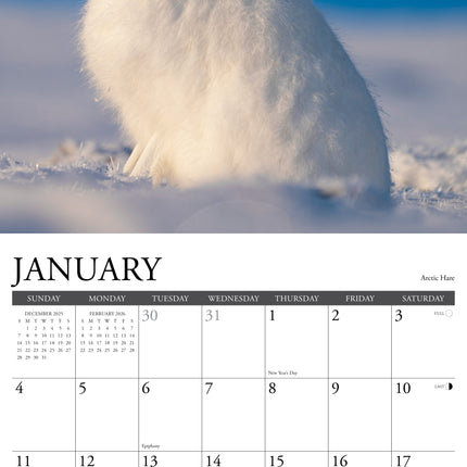 Willow Creek Wildlife Kalender 2026