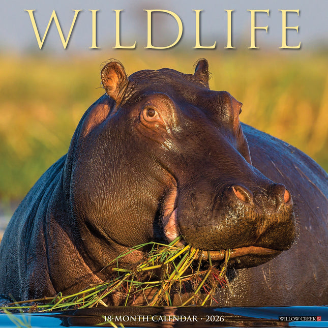 Willow Creek Wildlife Kalender 2027
