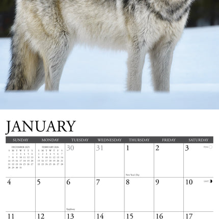 Willow Creek Wolven Kalender 2026