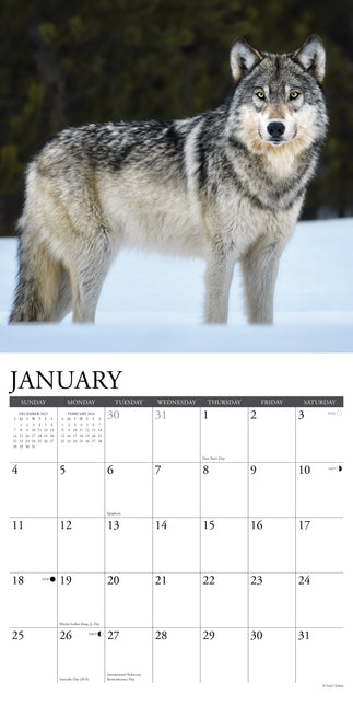 Willow Creek Wolven Kalender 2026