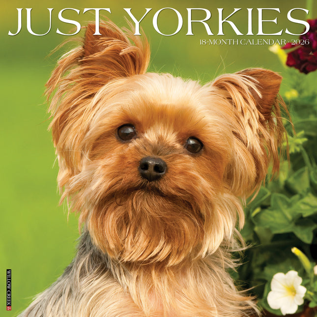 Willow Creek Yorkshire Terrier Kalender 2026