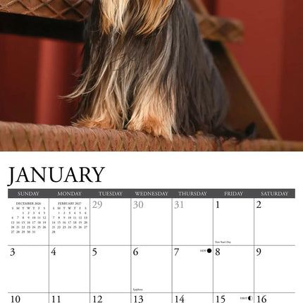 Willow Creek Yorkshire Terrier Kalender 2027